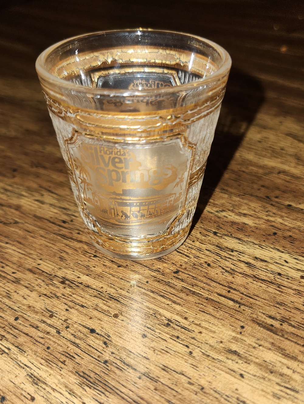 Florida Silver Springs Gold Trimmed Shot Glass